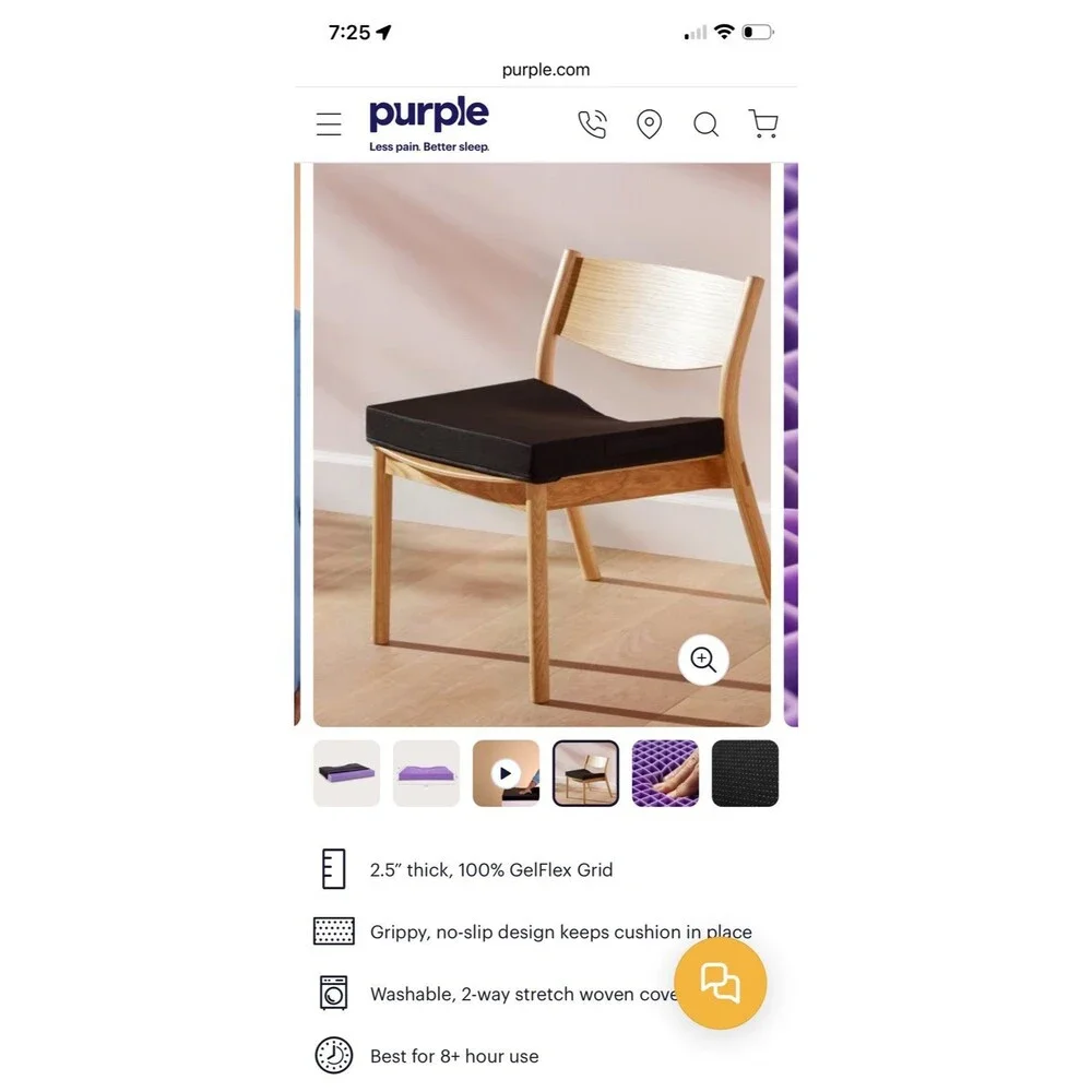 The Ultimate Purple Seat Cushion NWT